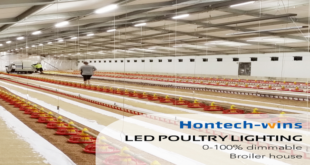 5 Things To Consider When Buying A Chicken Coop LED Light