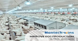 Benefits of Agricultural Lighting for Farmers and Poultry