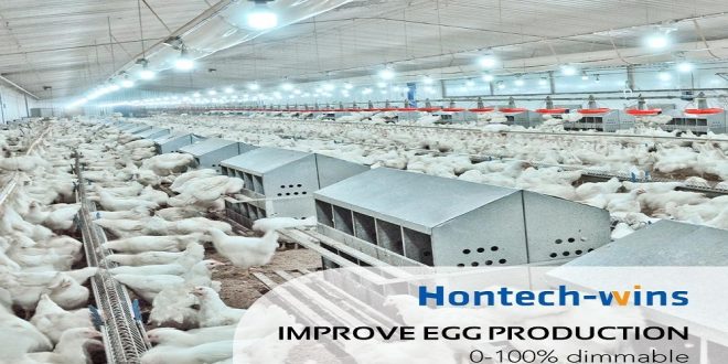 Benefits of Agricultural Lighting for Farmers and Poultry